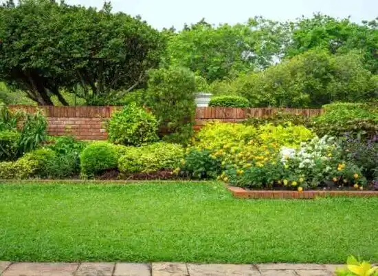 landscaping services Harlem